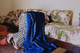 LILIA TONCHEVA O/ROURKE